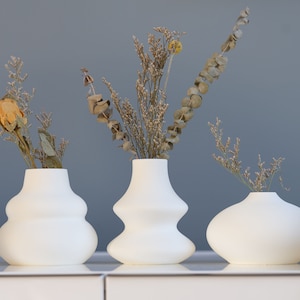 Boho Vase Set: 3D Printed Matte Plastic Decor