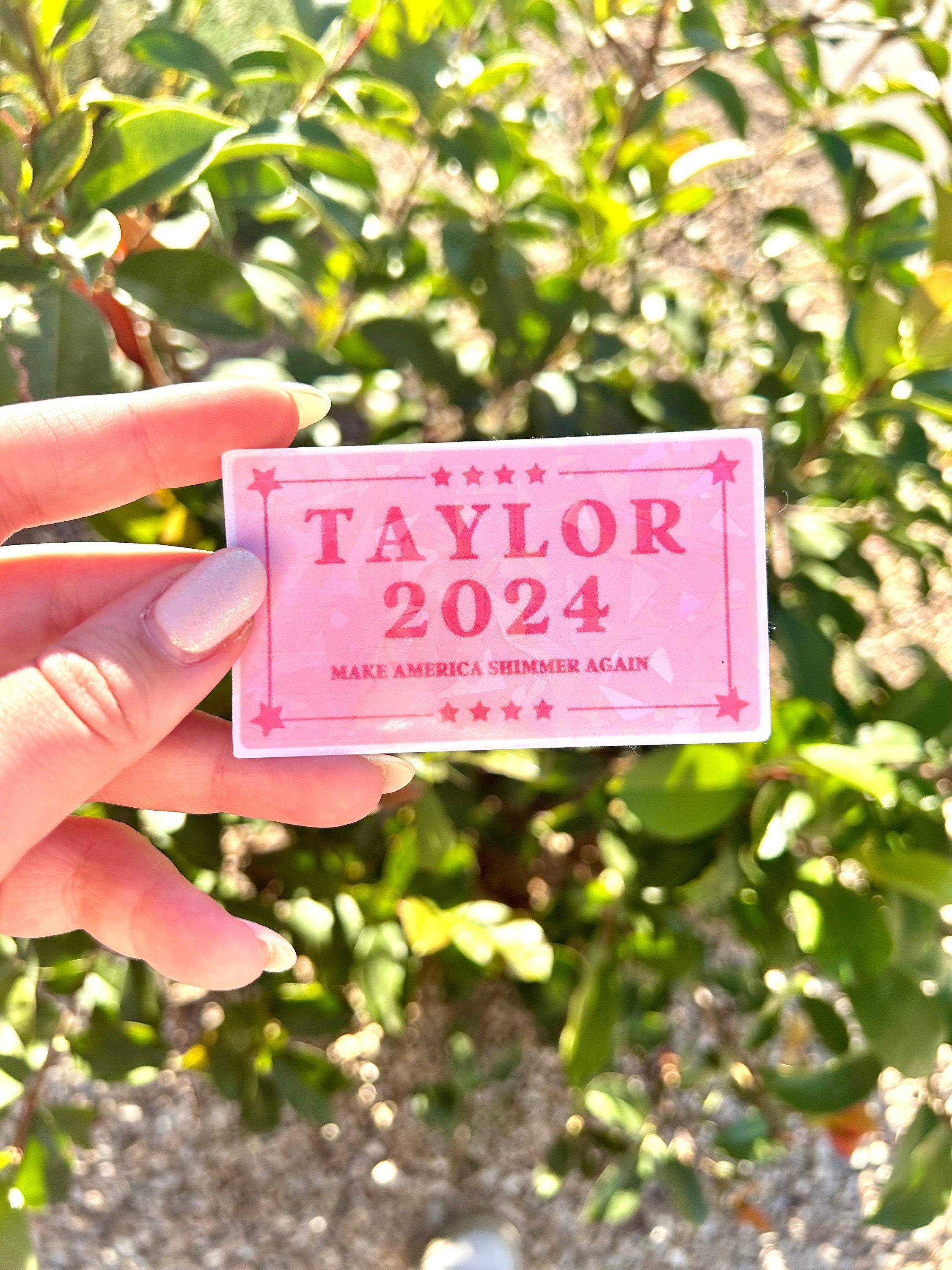 Taylor Swift 2024 Sticker – Nice Guy Machine Co