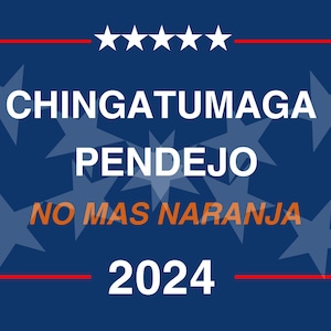 Puede incluir: Un fondo azul con estrellas blancas y rayas rojas. El texto "CHINGATUMAGA PENDEJO NO MAS NARANJA 2024" está escrito en blanco.