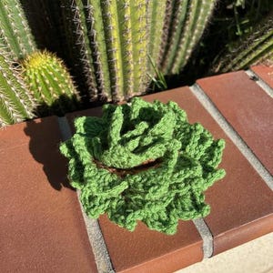 Cactus Coaster Crochet Pattern (Set of 4 + Pot Holder)