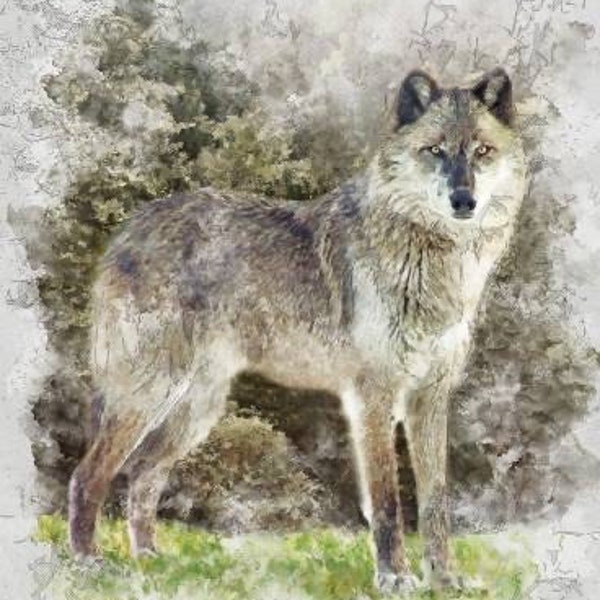 Natures Window - Wolf Panel - 36” x 43” - by Greg and Company for Riley Blake Designs - DP11865 Wolf - Digital Panel