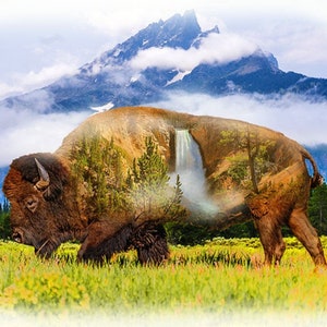 Hoffman Fabrics Call Of The Wild - Buffalo Silhouette - White - 31&quot; x 44&quot; PANEL