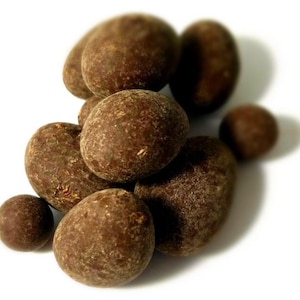 Raw Wild Heirloom Chocolate Covered Cacao Beans