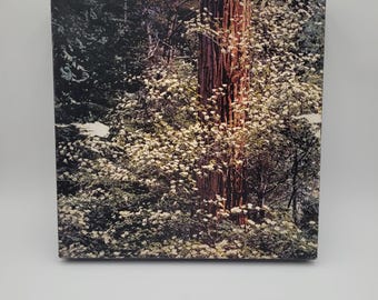 Vintage 1970's Springbok Puzzle Dogwood Trees Jigsaw Puzzle Hallmark