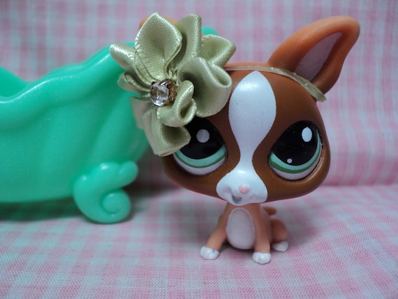 Lps chihuahua cheap