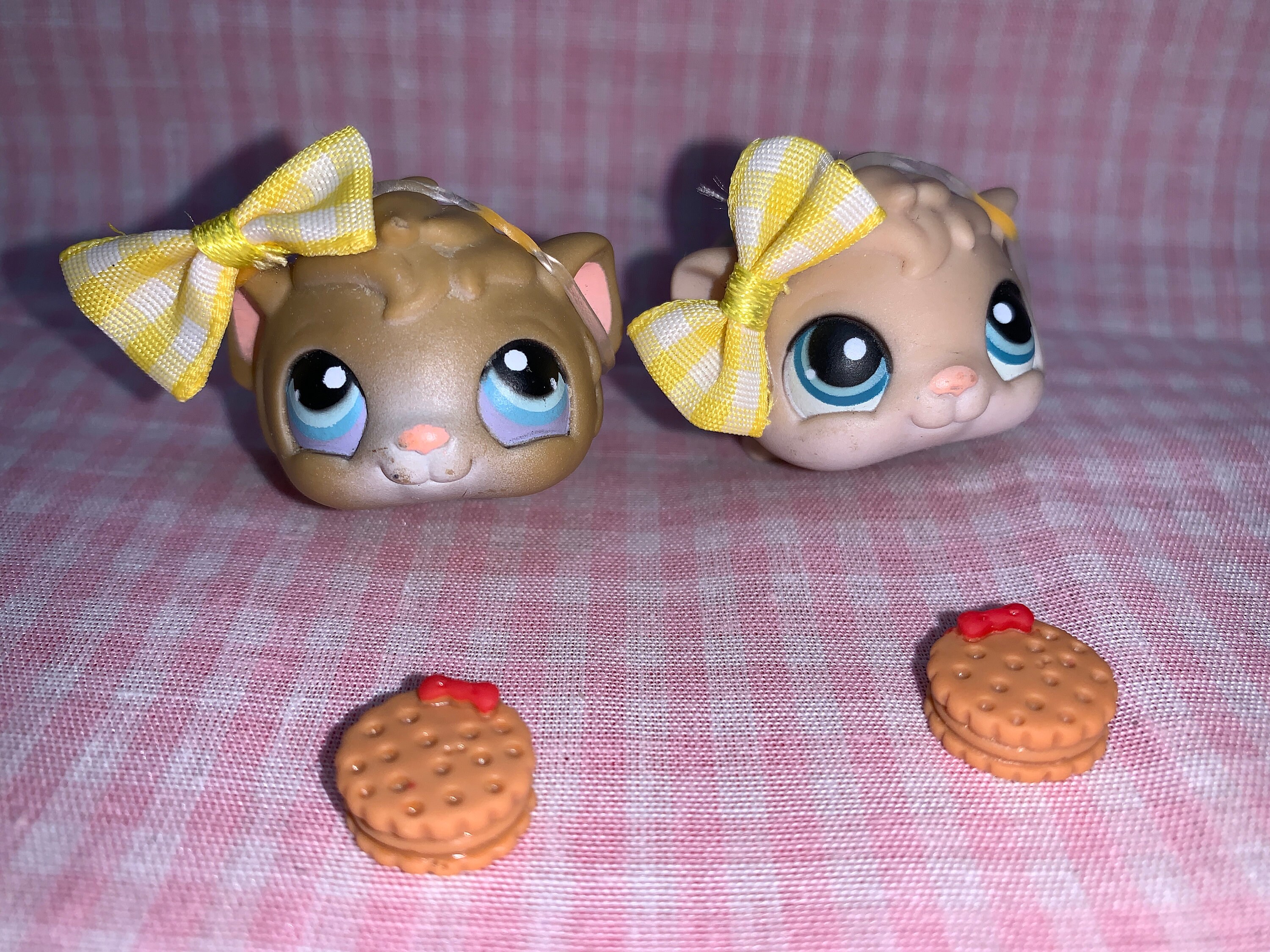 Lps deals guinea pig
