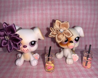 Pode incluir: Dois cães de brinquedo brancos e marrons com laços roxos e dourados na cabeça. Os cães estão sentados em uma superfície com padrão rosa e branco. Há dois frascos de vidro transparentes com canudos e frutas dentro.