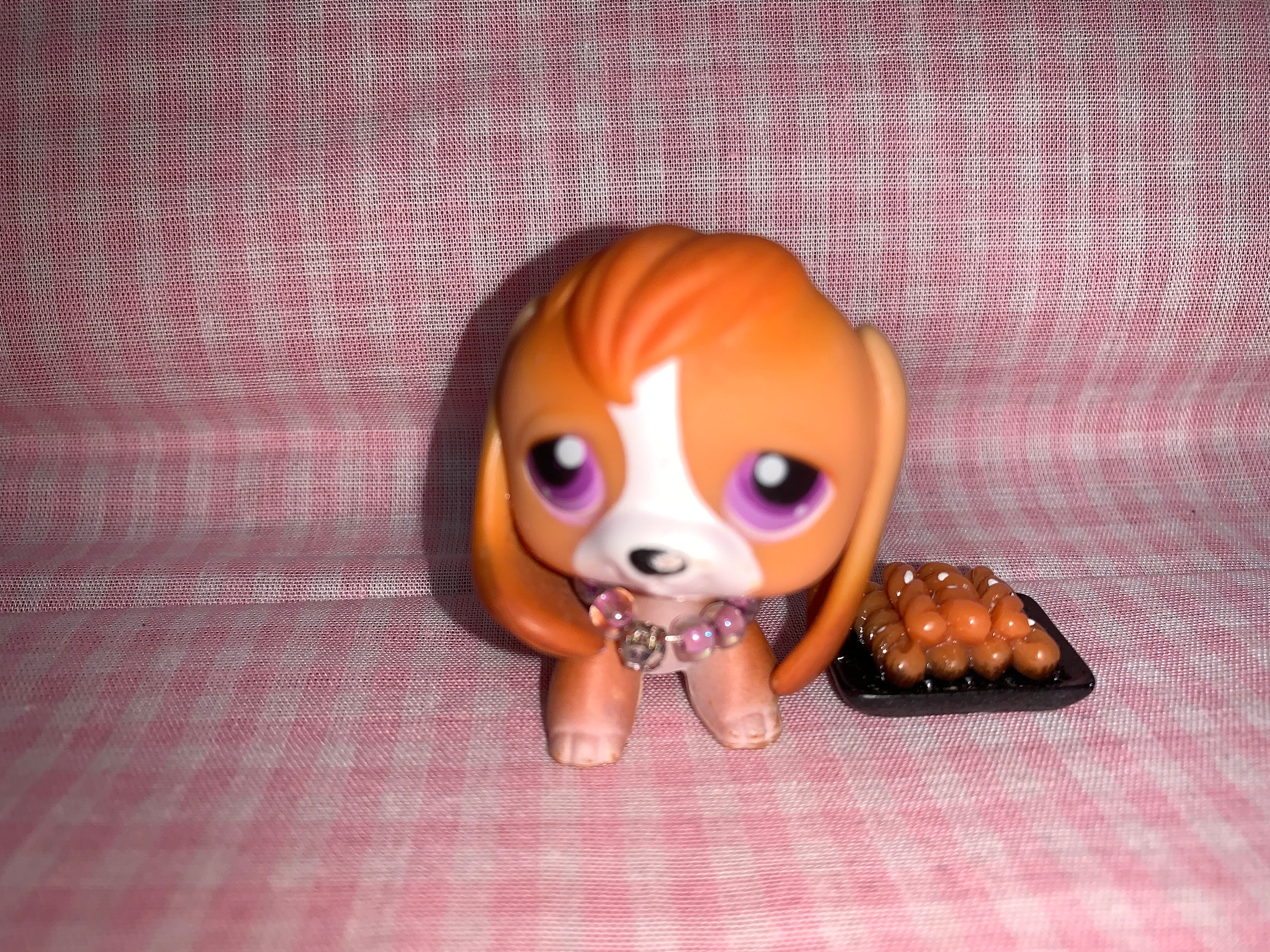 beagle lps