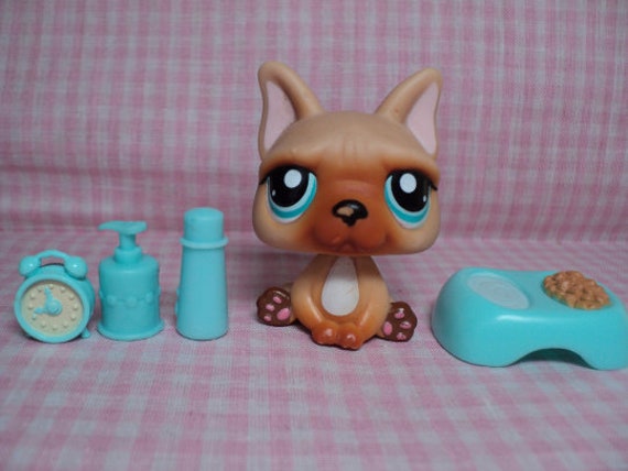 Discontinued Rare LPS Littlest Pet Shop Cute Dog With Accessories