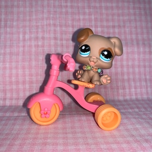 Discontinued Rare LPS Littlest Pet Shop Boxer Puppy with Handmade Necklace Tricycle (011)