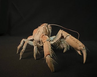 Small Lobster Specimen