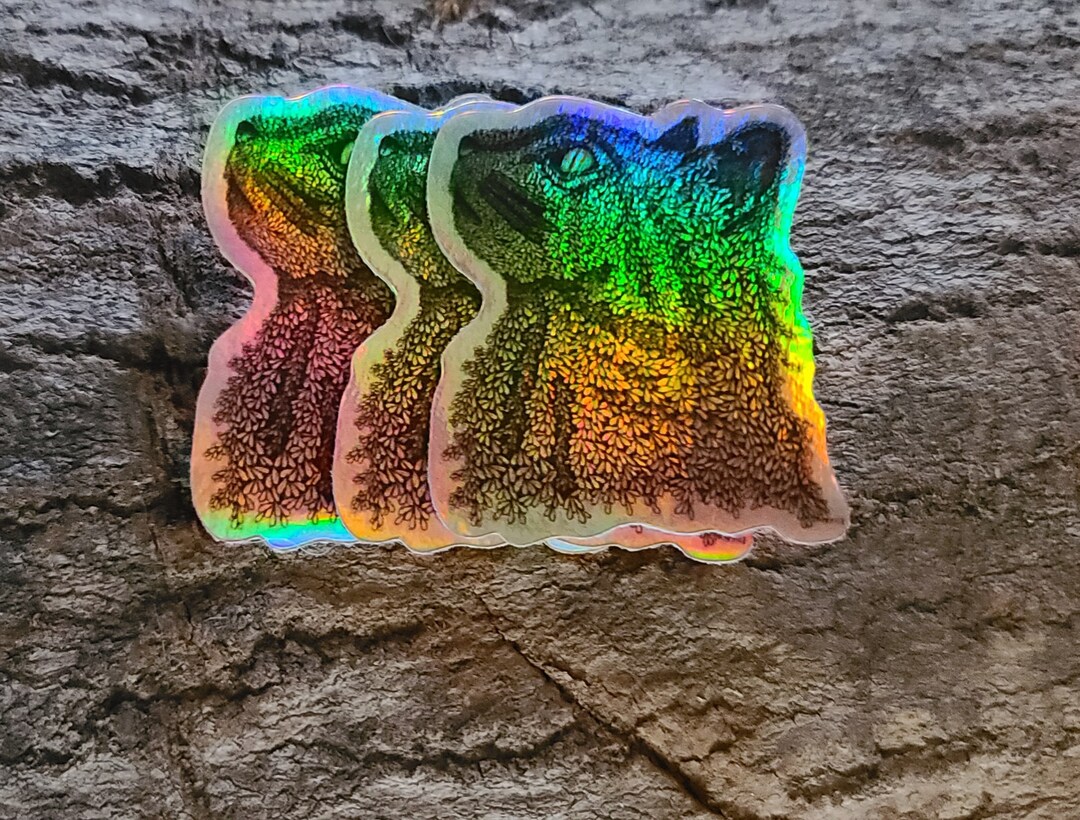 Cat Sticker, Holographic Kitty Decal, Colorful Cat Sticker, Black Cat