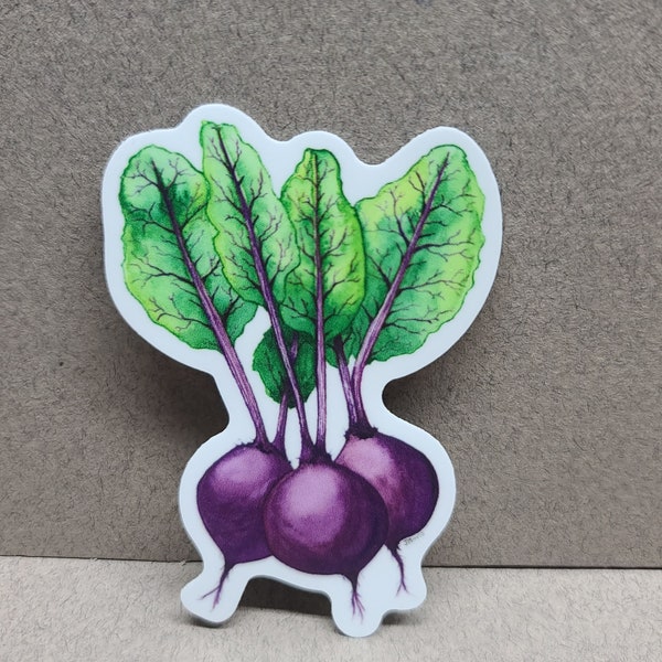 Sticker, Gift, Kitchen Art, Beets, Vegetable, Garden Art