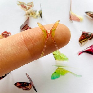 Miniature Plastic Moths