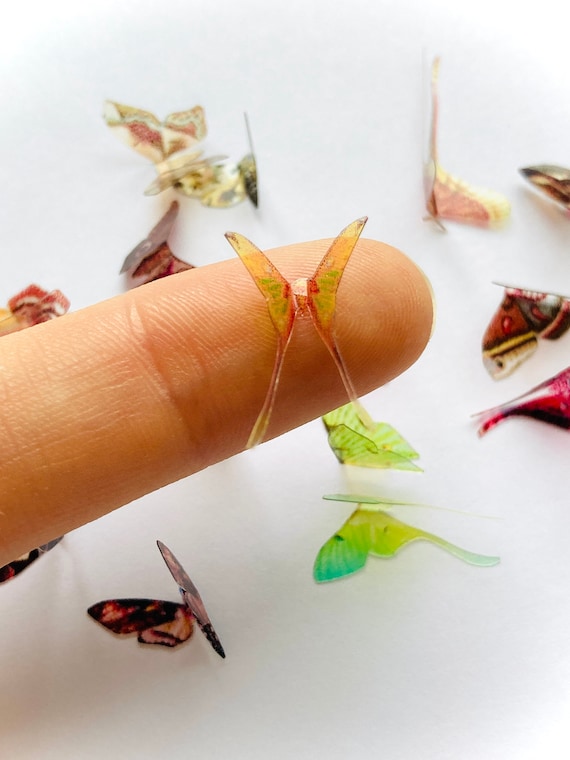Miniature Plastic Moths Etsy