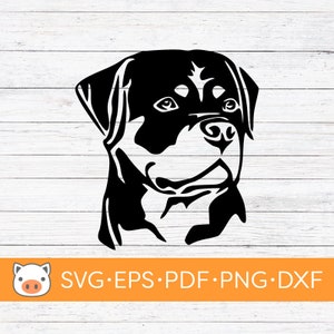 Rottweiler Head SVG Archivo de descarga digital, Perro SVG, Archivo de corte vectorial, Cricut, Silueta, Archivos de corte, Calcomanía, Diseño de camiseta, Pegatinas