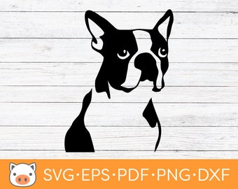 Boston Terrier SVG Digital Download file, Dog SVG, Vector Cut File, Cricut, Silhouette, Cutting Files, Decal, T-shirt design, Stickers