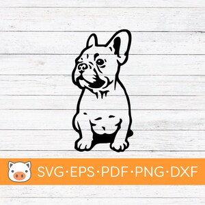 Französische Bulldogge SVG digitaler Download Datei, Frenchie SVG, Vektor geschnitten Datei, Cricut, Silhouette, Schneidedateien, Aufkleber, T-shirt Design, Hund