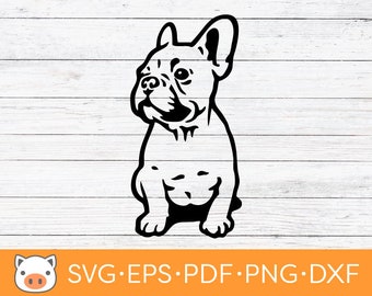 Französische Bulldogge SVG digitaler Download Datei, Frenchie SVG, Vektor geschnitten Datei, Cricut, Silhouette, Schneidedateien, Aufkleber, T-shirt Design, Hund