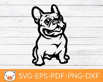 Französische Bulldogge SVG digitaler Download Datei, Frenchie SVG, Vektor geschnitten Datei, Cricut, Silhouette, Schneidedateien, Aufkleber, T-shirt Design, Hund