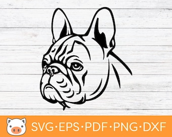 Französische Bulldogge SVG digitaler Download Datei, Frenchie SVG, Vektor geschnitten Datei, Cricut, Silhouette, Schneidedateien, Aufkleber, T-shirt Design, Hund