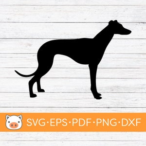 Greyhound Silhouette SVG Digital Download file, Dog SVG, Vector Cut File, Cricut, Silhouette, Cutting Files, Decal, T-shirt design, Stickers