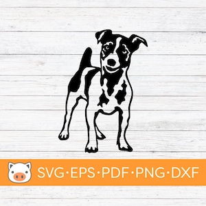 Jack Russell SVG Digital Download file, Dog SVG, Vector Cut File, Cricut, Silhouette, Cutting Files, Decal, T-shirt design, Stickers