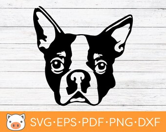Boston Terrier Head SVG Digital Download file, Dog SVG, Vector Cut File, Cricut, Silhouette, Cutting Files, Decal, T-shirt design, Stickers