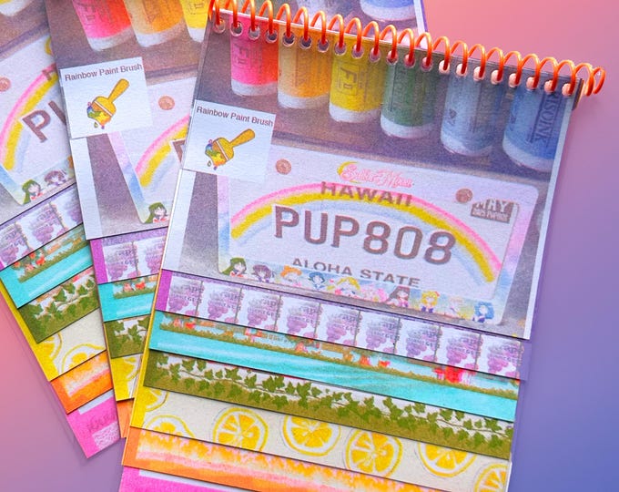 rainbow paintbrush zine