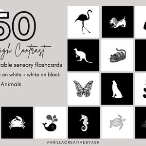50 dieren hoog contrast babykaarten in zwart-wit - afdrukbare Montessori sensorische flashcards voor babystimulatie - digitale DOWNLOAD