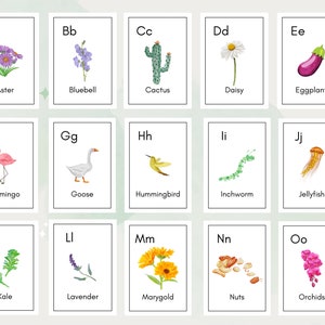 Cartões ABC da natureza para impressão | Alfabeto de arte de parede de berçário pré-escolar para impressão em homeschool | sala de aula Carta ABCs Flashcards | Download digital
