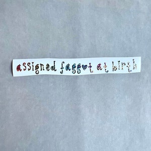 Assigned Fa**ot at Birth Vinyl Bumper Sticker Decal (Waterproof)