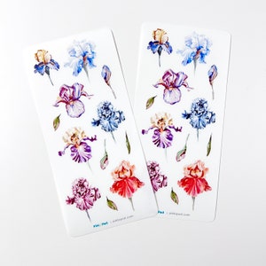 Könnte beinhalten: Zwei Blätter mit Aufklebern, die Aquarell-Illustrationen von Iris-Blumen in verschiedenen Farben zeigen, darunter Lila, Blau, Rosa und Orange. Die Aufkleber sind auf weißem Hintergrund und haben den Text "Pikt_Ped | piktopod.com" am unteren Rand.