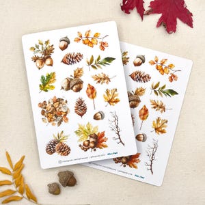 May include: Two white sticker sheets with watercolour illustrations of autumn leaves, acorns, and pine cones. The stickers feature a variety of autumnal colours, including orange, yellow, and brown. Ideal for scrapbooking or other craft projects.
