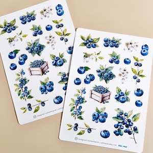 May include: Two white sticker sheets featuring watercolor illustrations of blueberries, leaves, and white flowers. Some blueberries are in a wooden crate. The stickers have the Instagram and Etsy shop name printed at the bottom.