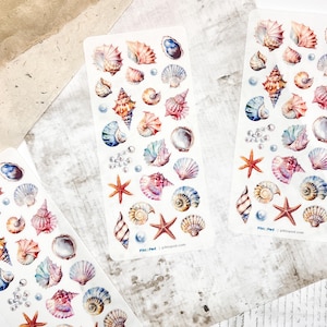May include: A sheet of colourful seashell stickers with a watercolour design. The stickers feature various shapes and sizes of seashells in shades of pink, blue, and orange. There are also small pearl stickers and starfish stickers.