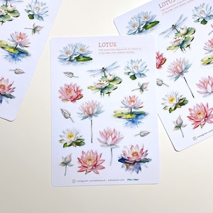 NEU! Lotusblumen