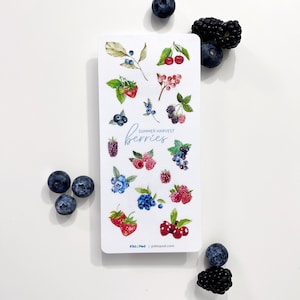 May include: A sheet of stickers featuring watercolour illustrations of various berries, including blueberries, raspberries, strawberries, and cherries. The stickers are arranged in a grid pattern on a white background. The text "SUMMER HARVEST berries" is printed in blue at the top of the sheet. The text "Pikt:Ped | piktopod.com" is printed in blue at the bottom of the sheet.