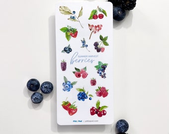 May include: A sheet of stickers featuring watercolor illustrations of various berries, including blueberries, raspberries, strawberries, and cherries. The stickers are arranged in a grid pattern on a white background. The text "SUMMER HARVEST berries" is printed in blue at the top of the sheet. The text "Pikt:Ped | piktopod.com" is printed in blue at the bottom of the sheet.