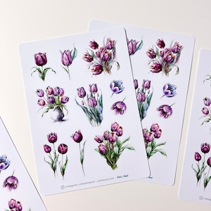 Tulipes violettes
