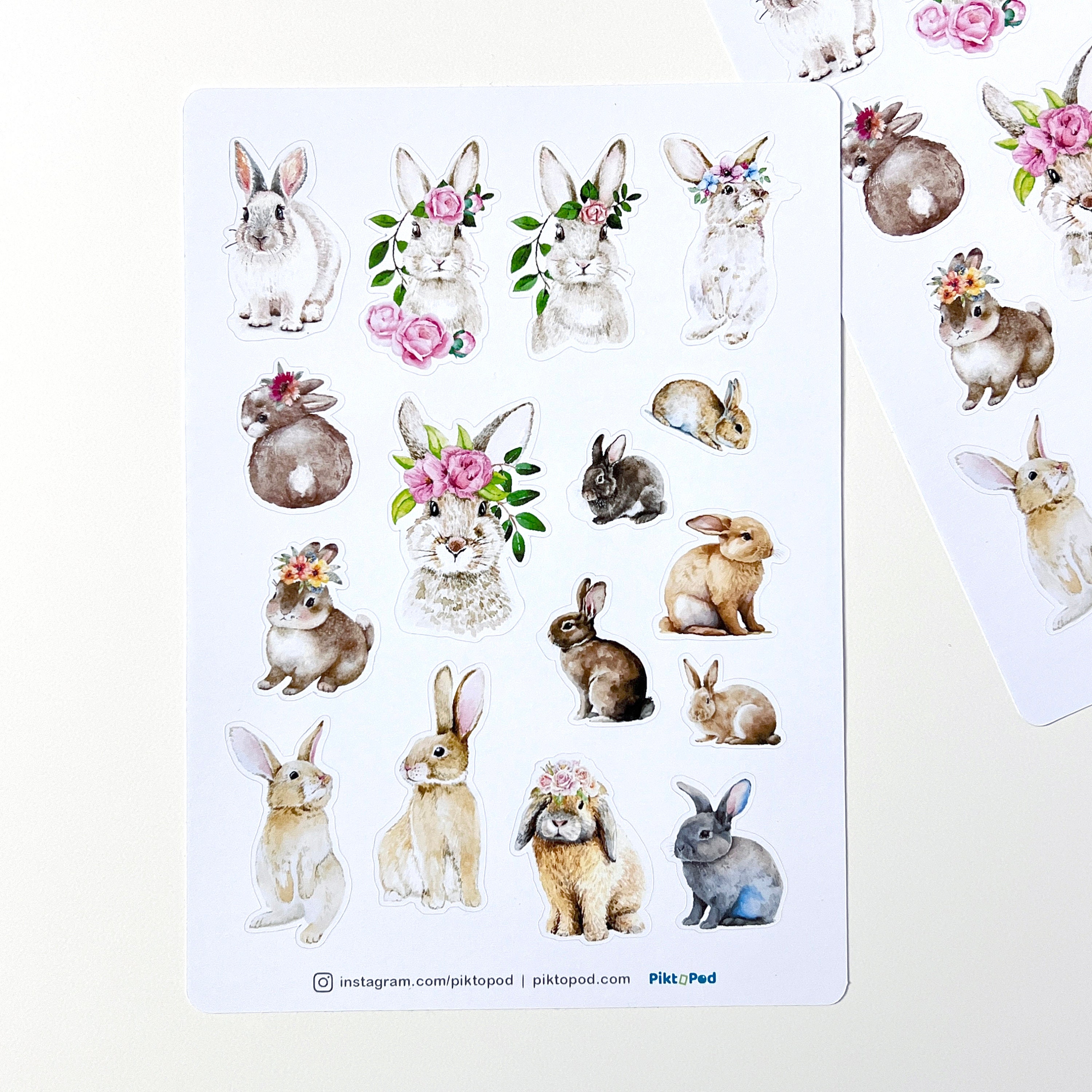 Rabbit Stickers: Floral Bunny Planner Stickers (5x7