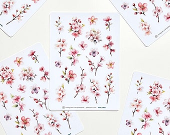 Pink Cherry Blossom Flowers