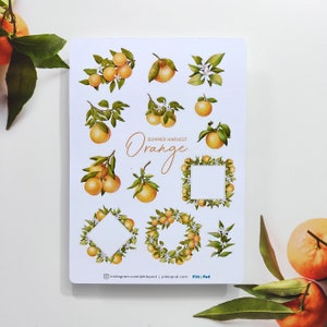 Orange Stickers - Summer Harvest