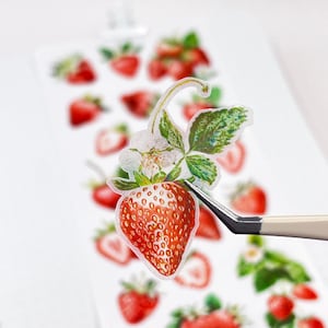 NEW! Strawberries Clear Stickers