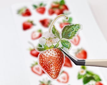 Strawberries Clear Stickers