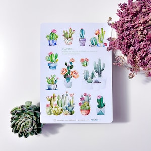 Cactus
