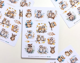 Owls