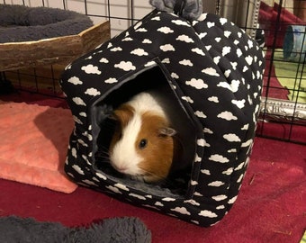 guinea pig cube