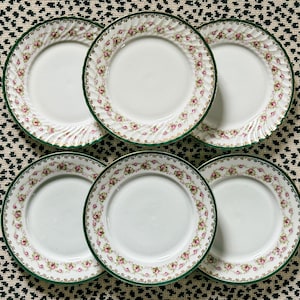 May include: Six white ceramic plates with a floral pattern and green trim are arranged on a patterned surface. The plates have a delicate design of pink roses and green leaves around the rim.