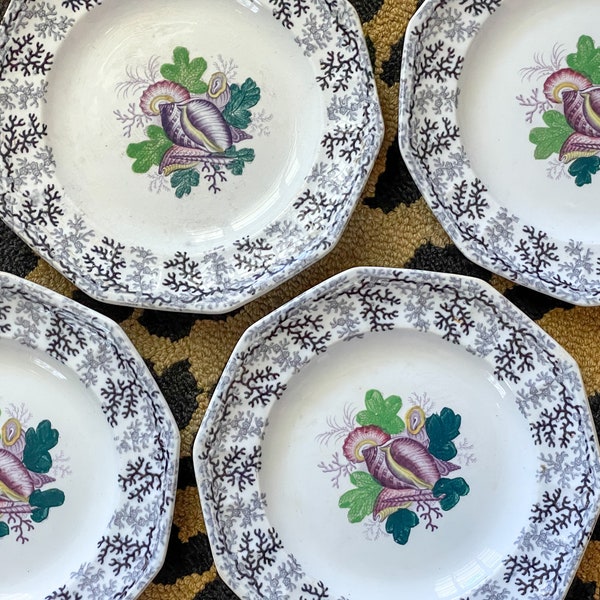 Antique Set of 4 J Furnival Coral Ironstone Polychrome Transferware Plates // Circa 1845-1870 // England // Grandmillennial